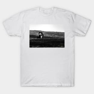 Contemplation - Mono T-Shirt